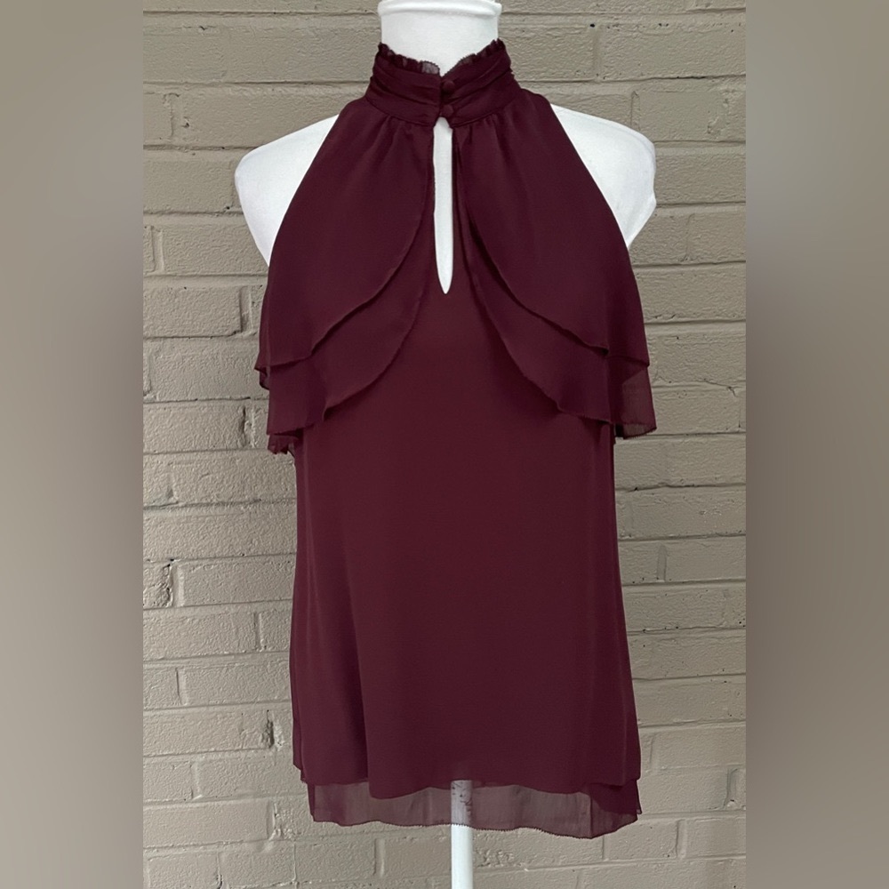 WHBM  burgundy high collar blouse  2